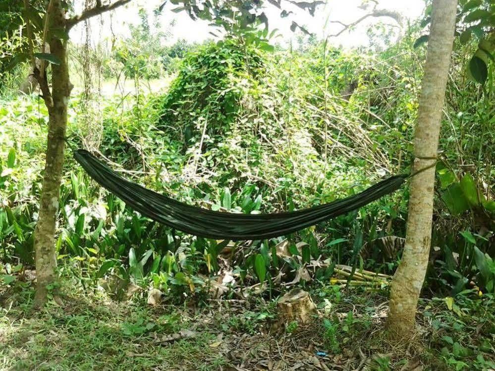 Green Village Homestay 芹苴 外观 照片