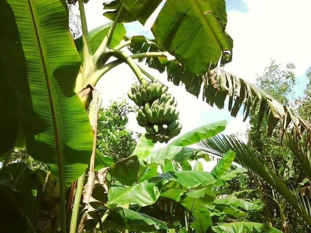Green Village Homestay 芹苴 外观 照片
